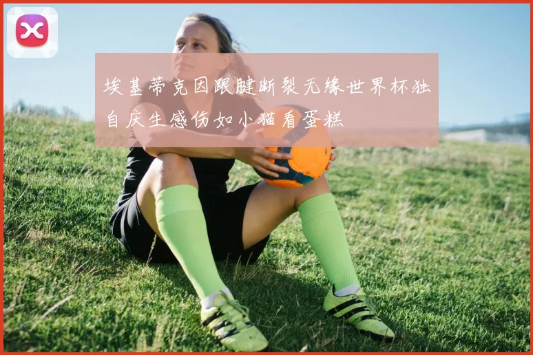 埃基蒂克因跟腱断裂无缘世界杯独自庆生感伤如小猫看蛋糕